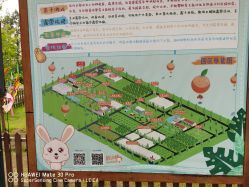 点击看大图 -前小桔亲子创意农场·草莓采摘·露营烧烤