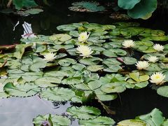 -国家植物园南园