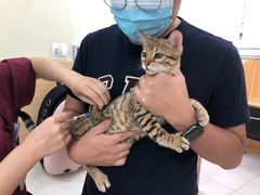 -美联众合动物医院·24h京西诊疗中心