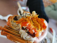 -黄记大闸蟹专卖店·活蟹·醉蟹
