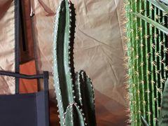 -HIHE Bistro·Oyster Bar(华熙live店)