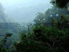 -王顺山国家森林公园