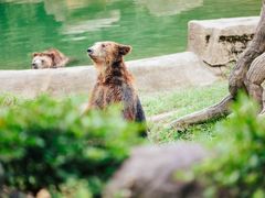 -杭州野生动物世界