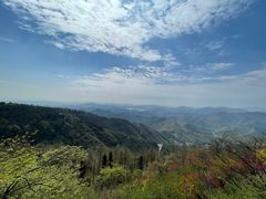 -莫干山风景区