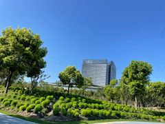 -春花秋色城市公园