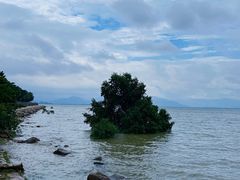 -深圳湾公园(南山区)