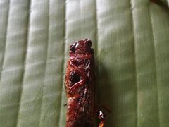 -黄家新傣味