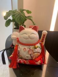 -Fundi张玉珊修身堂·indiba·BTL科技瘦身