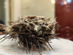 -宾朋海鲜饭庄(兴海路店)