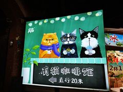 -有猫主题·治愈系猫咖(曾厝垵店)