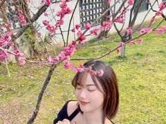 -东湖磨山景区樱花园-停车场