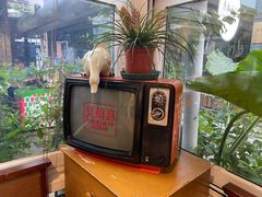 -孟林厨房(798店)