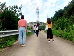 -枸杞岛
