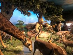 -国家自然博物馆