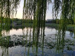 -长春市南湖公园