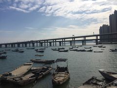 -厦门园林博览苑