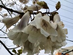 -江湾镇街道社区文化活动中心