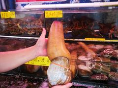 澳洲象牙蚌-四海之家(蛇口店)