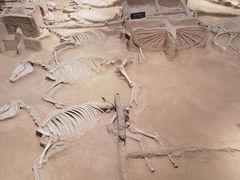 -洛阳周王城天子驾六博物馆