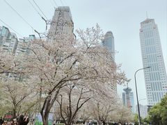 -西北湖绿化广场