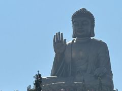 -龙口南山旅游景区