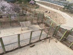 -青藏高原野生动物园