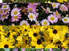 -文华公园(禅城区)