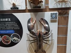 -青岛海底世界-水族馆
