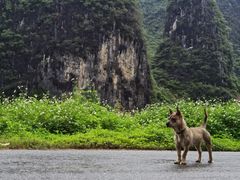 -钟山水墨田园