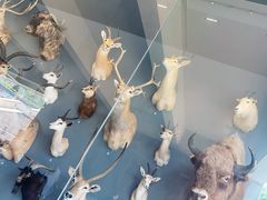 -陕西自然博物馆