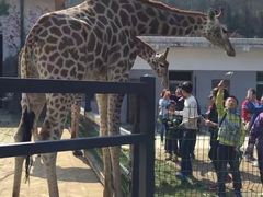 -贵州森林野生动物园