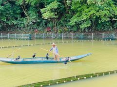 -新安江山水画廊风景区