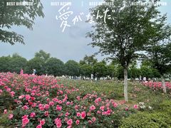 -云幽谷旅游区
