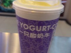 -一只酸奶牛(海珠美食街店)