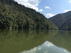 -天台国家森林公园水上茶乡九鹏溪