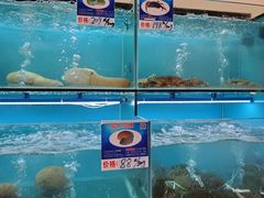 -南海渔家•海鲜•正宗海南菜(海棠湾店)