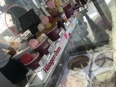 -哈根达斯(陆家浜路店)