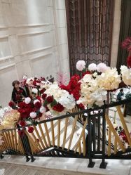点击看大图 -禾丽康美医疗美容医院