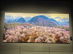 -罗红摄影艺术馆