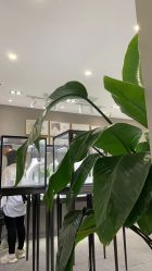 -克拉花园珠宝(诚品生活店)