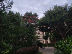 -三亚御海棠豪华精选度假酒店