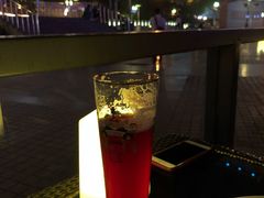 林德曼樱桃啤酒-Malena玛莲娜