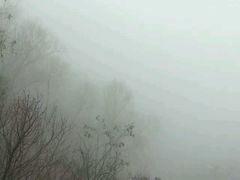 -鲁山国家森林公园