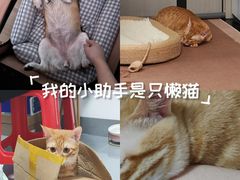 -御宝贝24h宠物医院·转诊中心·CT核磁血透中心(厦门总院)