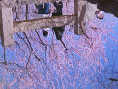 -三里河公园