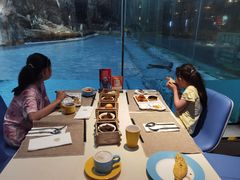 -帝企鹅自助餐厅•儿童岛•真企鹅(长隆企鹅酒店)