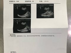 -北京赛佳动物医院