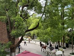 -J Create城市露营咖啡·简餐·宠物(上海动物园店)