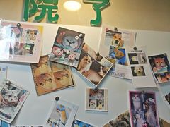 -半岛宠物医院24小时·内窥镜·牙科·碎石中心(府城大道店)