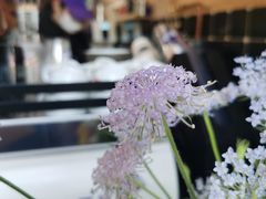 -HANA COFFEE(长寿路店)